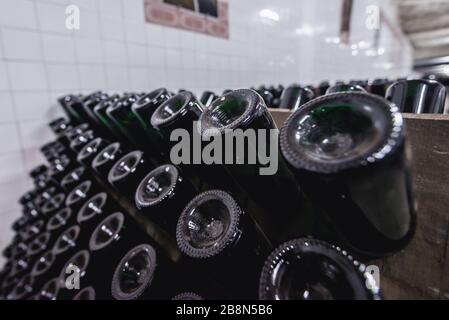 Rastrelliere con bottiglie di vino durante il processo di produzione riddling nella famosa cantina Cricova nella città di Cricova vicino a Chisinau, capitale della Moldavia Foto Stock