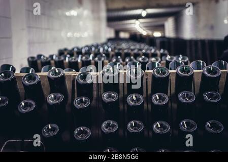 Rastrelliere con bottiglie di vino durante il processo di produzione riddling nella famosa cantina Cricova nella città di Cricova vicino a Chisinau, capitale della Moldavia Foto Stock