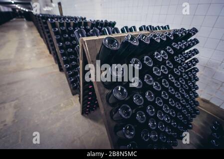 Magazzino con bottiglie di vino durante la produzione prcess chiamato riddling nella famosa cantina Cricova nella città di Cricova vicino a Chisinau, capitale della Moldavia Foto Stock