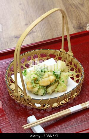 Kobashira, attraverso i muscoli adductor shell, sushi giapponese tempura ingredienti Foto Stock