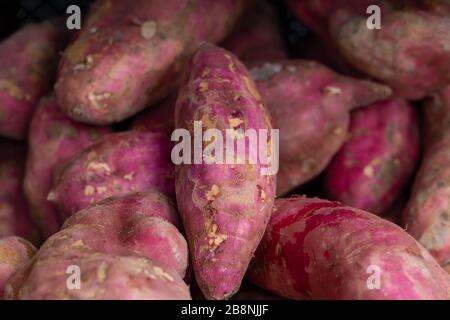 Mucchio di patate dolci, ipomoea bata, su una bancarella di mercato a Ealing, Londra occidentale Foto Stock