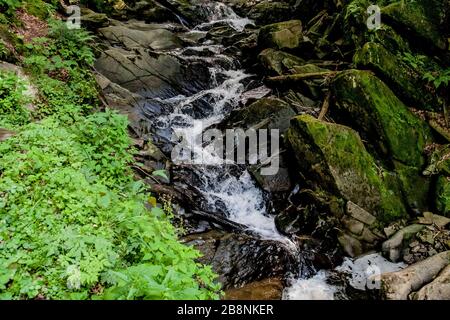Cascata sul torrente Hylaty a Zatwarnica in Polonia Foto Stock