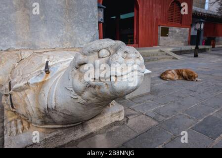 Scultura in pietra nel Tempio Buddista di Zhihua - Tempio della saggezza raggiunto in Lumicang hutong, zona Chaoyangmen del Distretto di Dongcheng a Pechino, Cina Foto Stock