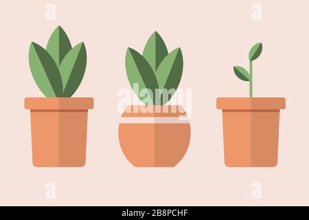 Set di pentole semplici con piante isolate sullo sfondo. Casa pianta verde nel vaso marrone. Illustrazione vettoriale in stile piatto e lineare alla moda Illustrazione Vettoriale