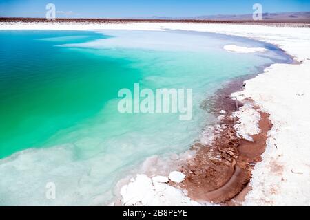 Lagune nascoste di Baltinache o sette lagune, uno dei luoghi segreti del deserto di Atacama, Cile Foto Stock