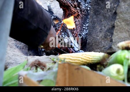 Mais indiano (bhutta) che è cucinato su legno che brucia Foto Stock