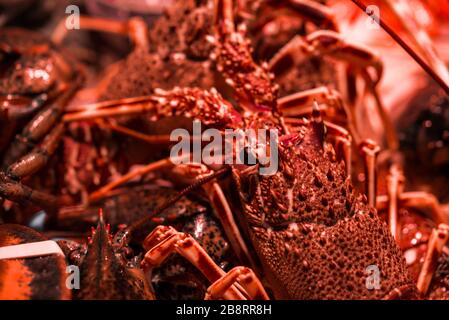 Foto ravvicinata del cibo di un'aragosta di pesce allo stallo del mercato contadino. Foto Stock