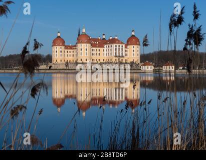 Moritzburg, Germania. 23 marzo 2020. Il Castello di Moritzburg, l'ex rifugio di caccia della famiglia Wettin, si riflette nello stagno del castello al mattino. Credit: Robert Michael/dpa-Zentralbild/ZB/dpa/Alamy Live News Foto Stock