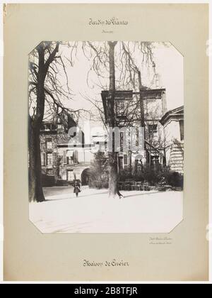 Piante da giardino / Marzo 1907 / Casa di Cuvier. Vista della Casa di Cuvier al Jardin des Plantes, 5 ° arrondissement, Parigi. Chardon (Madame). Jardin des plantes / Mars 1907 / Maison de Cuvier. "Vue de la maison de Cuvier au Jardin des Plantes, 5ème circondario, Parigi". Tigre au gélatino-bromure d’argent. Parigi, musée Carnavalet. Foto Stock