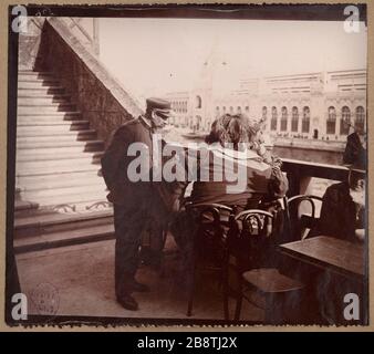 Man Terrace, esposizione universale del 1900, Champs de Mars, 7 ° distretto esposizione universelle de 1900. Homme en terrasse sur le Champs-de-Mars. Parigi (VIIème arr.). Anonima fotografa. Tigre au gélatino-chlorure d'argent, 1900. Parigi, musée Carnavalet. Foto Stock