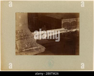 Gargoyle Chiesa di San Eustache, 1 ° arrondissement, Parigi. Gargouille de l'église de Sainte-Eustache, Parigi (Ier arr.). Photographie de Louis-Emile Durandelle (1839-1917). Tigre au gélatino-bromure d’argent. Vers 1895. Parigi, musée Carnavalet. Foto Stock