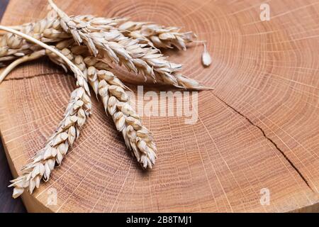 Spighe di grano con grani sulla tavola di legno Foto Stock