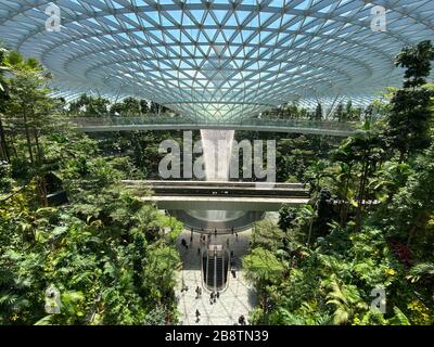 Singapore - 13 Feb 20120. Il Rain Vortex, una cascata interna alta 40 metri situata all'interno del gioiello dell'Aeroporto Changi di Singapore. Foto Stock