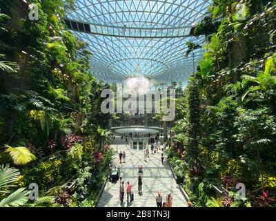 Singapore - 13 Feb 20120. Il Rain Vortex, una cascata interna alta 40 metri situata all'interno del gioiello dell'Aeroporto Changi di Singapore. Foto Stock