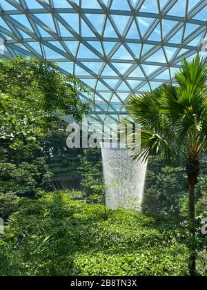 Singapore - 13 Feb 20120. Il Rain Vortex, una cascata interna alta 40 metri situata all'interno del gioiello dell'Aeroporto Changi di Singapore. Foto Stock