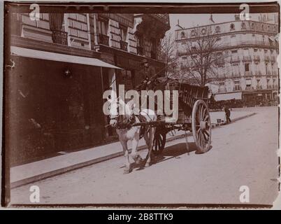 Cavallo e buggy, Parigi. "Voiture à cheval, Paris". Anonima fotographie. Aristotipo. Parigi, musée Carnavalet. Foto Stock