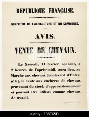 REPUBBLICA FRANCESE. MINISTERO DELL'AGRICOLTURA E DEL COMMERCIO. AVVISO. CAVALLI IN VENDITA. Comune (1871). Anonyme. Affiche d'un avis à la population concertant la vente de chevaux en provenance du stock d'approvisioning. Typographie, 1871. Imprimeur Imprimerie Nationale. Parigi, musée Carnavalet. Foto Stock