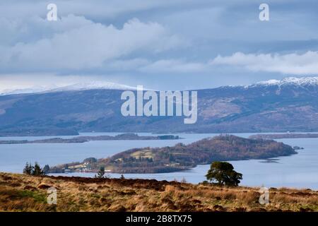 Inchmurrin Island a Loch Lomond, Scozia Foto Stock