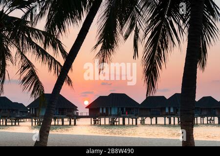 Spiaggia di sabbia al tramonto dell'isola tropicale nelle Maldive Foto Stock
