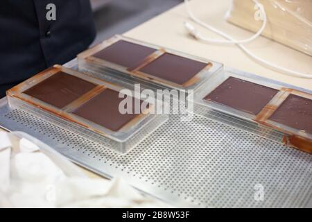 Preparare le uova di pasqua al cioccolato. Fabbrica di cioccolato. Foto Stock