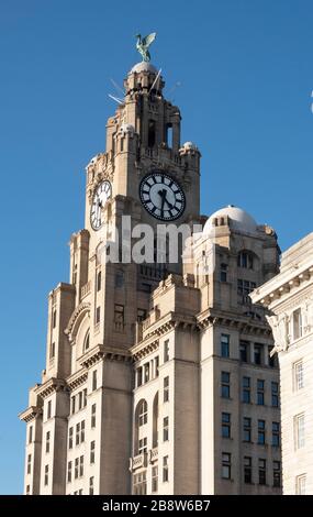 La torre dell'orologio del Royal Liver Building a George's Pier Head a Liverpool, una delle tre grazie Foto Stock