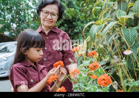 bambina asiatica e nonna che giocano e guardano fiori nel parco Foto Stock