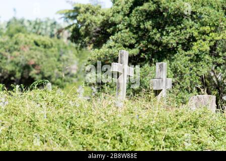 Siti di sepoltura trascurati e sovracoltivati al Gore Hill Memorial Cemetery nel sobborgo di St Leonards in Australia di Sydney. Il cimitero operò 1877-1974 Foto Stock