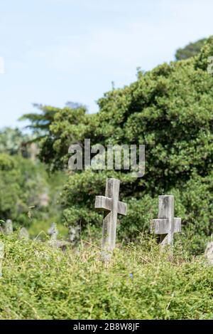 Siti di sepoltura trascurati e sovracoltivati al Gore Hill Memorial Cemetery nel sobborgo di St Leonards in Australia di Sydney. Il cimitero operò 1877-1974 Foto Stock