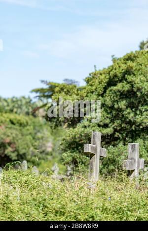 Siti di sepoltura trascurati e sovracoltivati al Gore Hill Memorial Cemetery nel sobborgo di St Leonards in Australia di Sydney. Il cimitero operò 1877-1974 Foto Stock