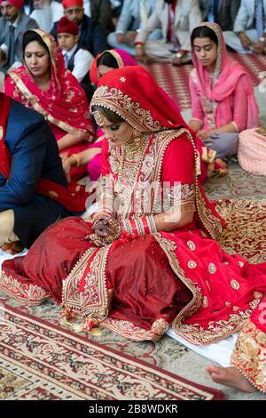 Una bella sposa Sikh alla sua cerimonia di nozze con la testa incurvata e le mani appiccicate. A Queens, New York. Foto Stock