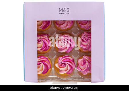 Scatola di M&S mini tortine di rose isolati su sfondo bianco - guardando verso il basso a partire da sopra Foto Stock
