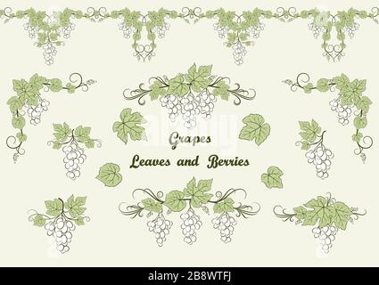 Set di modelli di uva Illustrazione Vettoriale