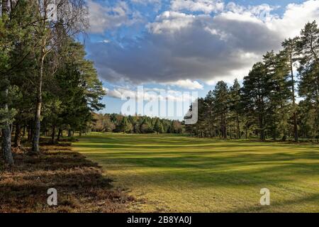 Uno dei Fairways alberati al Rosemount Golf Club nel Central Perthshire in tarda serata in primavera. Foto Stock