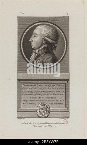 Conte Louis-Marthe Gouy Arsy, deputato di St Domingo all'Assemblea Nazionale nel 1789. Francois Voyez (1746-1805). "Louis-Marthe Comte de Gouy d'Arsy, député de St Domingue à l'Assemblée nationale de 1789". PhysionoTraces. Parigi, musée Carnavalet. Foto Stock