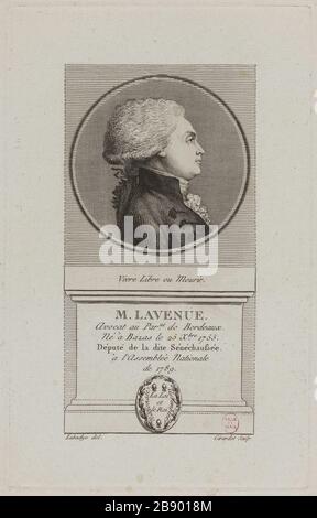 Lavenue, avvocato al Parlamento di Bordeaux, vice del Seneschal di Bordeaux. Abraham Girardet (1764-1823). 'M. Lavenue, avocat au Parlement de Bordeaux, député de la Sénéchaussée de Bordeaux'. PhysionoTraces. Parigi, musée Carnavalet. Foto Stock