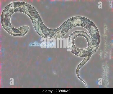 Homalopsis sieboldii, Print, Homalopsis è un genere di serpenti della famiglia Homalopsidae. Il genere è limitato all'Asia sudorientale e comprende cinque specie attualmente riconosciute. Come tutti i membri della famiglia Homalopsidae, Homalopsis sono posteriori-fanged e leggermente velenosi, anche se considerato innocuo per gli esseri umani., 1734-1765, Reimagined da Gibon, design di calore allegro di luminosità e raggi di luce radianza. Arte classica reinventata con un tocco moderno. La fotografia ispirata al futurismo, che abbraccia l'energia dinamica della tecnologia moderna, del movimento, della velocità e rivoluziona la cultura. Foto Stock