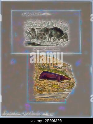 Hydrochoerus capibara, stampa, il capibara (Hydrochoerus hydrochaeris) è un mammifero originario del Sud America. È il più grande roditore vivente nel mondo. Chiamato anche chigüire, chigüiro (in Colombia e Venezuela) e carpincho, è un membro del genere Hydrochoerus, di cui il solo altro extant stati è la minore capibara (Hydrochoerus isthmius). I suoi parenti stretti includono cavie e rock cavies ed è più lontanamente correlato all'agouti, il chinchilla, e il coypu. Il capibara abita nelle savane e foreste fitte e vive vicino a corpi di acqua. Si tratta di un altamente sociale speci Foto Stock