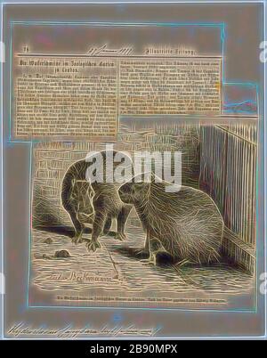 Hydrochoerus capibara, stampa, il capibara (Hydrochoerus hydrochaeris) è un mammifero originario del Sud America. È il più grande roditore vivente nel mondo. Chiamato anche chigüire, chigüiro (in Colombia e Venezuela) e carpincho, è un membro del genere Hydrochoerus, di cui il solo altro extant stati è la minore capibara (Hydrochoerus isthmius). I suoi parenti stretti includono cavie e rock cavies ed è più lontanamente correlato all'agouti, il chinchilla, e il coypu. Il capibara abita nelle savane e foreste fitte e vive vicino a corpi di acqua. Si tratta di un altamente sociale speci Foto Stock