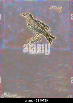 Leiothrix lutea, Print, il leiothrix rosso-fatturato (Leiothrix lutea) è un membro della famiglia Leiothrichidae, originario della Cina meridionale e dell'Himalaya. Gli adulti hanno bollette rosse luminose e un anello giallo opaco intorno ai loro occhi. Le loro spalle sono verde oliva opaco, e hanno una gola giallo-arancione brillante con un mento giallo, le femmine sono un po 'più duller dei maschi, e i giovani hanno fatture nere. È stato introdotto anche in varie parti del mondo, con piccole popolazioni di scappatelle che esistevano in Giappone dal 1980s. E 'diventato un comune cagebird e tra gli aviculturists va da va Foto Stock