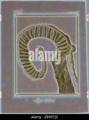 Lepus timidus, Print, la montagna lepre (Lepus timidus), conosciuta anche come lepre blu, tundra leare, lepre variabile, lepre bianco, lepre neve, lepre alpino, E l'lepre irlandese, è un lepre paleartico che è in gran parte adattato agli habitat polari e montagnosi., intestini, Reimagined da Gibon, disegno di calore allegro luce di luminosità e raggi di luce radianza. Arte classica reinventata con un tocco moderno. La fotografia ispirata al futurismo, che abbraccia l'energia dinamica della tecnologia moderna, del movimento, della velocità e rivoluziona la cultura. Foto Stock