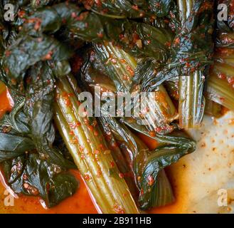 Kimchi Dolsangat Foto Stock