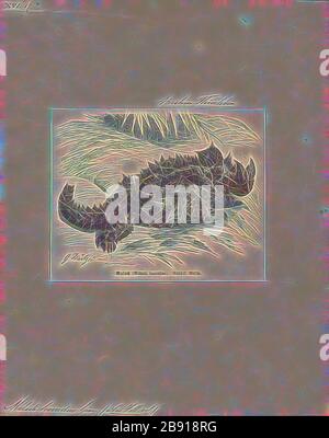 Moloch horrdus, Print, il diavolo spinoso (Moloch horrdus), conosciuto anche come il diavolo di montagna, lucertola spinosa, drago spinoso, e moloch, è una specie di lucertola nella famiglia Agamidae. La specie è endemica in Australia. È la sola specie del genere Moloch., 1700-1880, Reimagined by Gibon, disegno di calda luce allegra di luminosità e raggi di luce radianza. Arte classica reinventata con un tocco moderno. La fotografia ispirata al futurismo, che abbraccia l'energia dinamica della tecnologia moderna, del movimento, della velocità e rivoluziona la cultura. Foto Stock