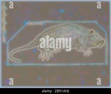 Myopotamus coypus, stampa il coypu, noto anche come la nutria, è un grande, sia erbivori, semiaquatic roditore. Classificato per un lungo periodo di tempo come il solo membro della famiglia Myocastoridae. Myocastor è effettivamente nested all'interno Echimyidae, la famiglia dei ratti spinoso. Il coypu vive in cunicoli a fianco di distese di acqua, e feed sul fiume steli di piante. Originariamente nativo e subtropicale temperato del Sud America, allora è stato introdotto in Nord America, Europa, Asia e Africa, principalmente dagli agricoltori fur. Sebbene sia ancora cacciati per la sua pelliccia in alcune regioni, la sua bava distruttivo Foto Stock