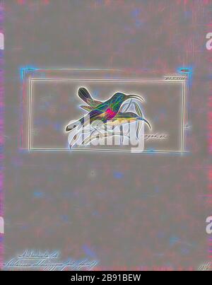 L'uccello della famiglia dei Nectariniidae è un uccello della famiglia dei Nectariniidae. Si trova in Africa occidentale e centrale., 1820-1860, Reimagined da Gibon, design di calore allegro di luminosità e raggi di luce radianza. Arte classica reinventata con un tocco moderno. La fotografia ispirata al futurismo, che abbraccia l'energia dinamica della tecnologia moderna, del movimento, della velocità e rivoluziona la cultura. Foto Stock