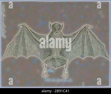 Noctilio leporinus, Print, il pipistrello maggiore o pipistrello pescatore (Noctilio leporinus) è un tipo di pipistrello di pesca nativo dell'America Latina (spagnolo: Murciélago pescador). Il pipistrello utilizza l'ecolocalizzazione per rilevare le increspature d'acqua prodotte dal pesce su cui si prede, quindi utilizza la sacca tra le gambe per raccogliere il pesce e le sue artigli affilate per afferrarlo e attaccarlo. Non va confuso con il pipistrello minore, che, pur appartenendo allo stesso genere, cattura solo insetti d'acqua, come barrieri d'acqua e coleotteri d'acqua., 1700-1880, Reimagined by Gibon, disegno di caldo allegro bagliore di b. Foto Stock