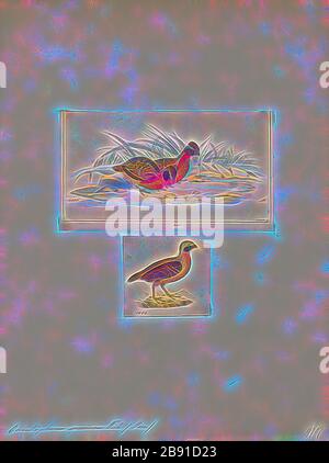 Odontophorus speciosus, la quaglia di legno rufous-breasted (Odontophorus speciosus) è un uccello della famiglia degli Odontophoridae. Si trova in Bolivia, Ecuador, e Perù principalmente sul lato est delle Ande tra 800 e 2000m in elevazione (più in alto in Perù)., 1700-1880, Reimagined da Gibon, design di calore allegro di luminosità e raggi di luce radianza. Arte classica reinventata con un tocco moderno. La fotografia ispirata al futurismo, che abbraccia l'energia dinamica della tecnologia moderna, del movimento, della velocità e rivoluziona la cultura. Foto Stock