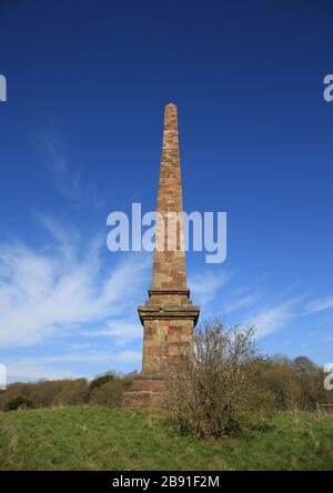 Wychbury obelisco, Hagley, Worcestershire, Inghilterra, Regno Unito. Foto Stock