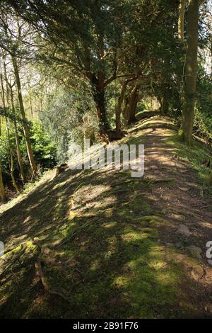 Difesa di terrapieno sul forte di collina di Wychbury, un forte di collina di età del ferro in Hagley, Worcestershire, Inghilterra, Regno Unito. Foto Stock