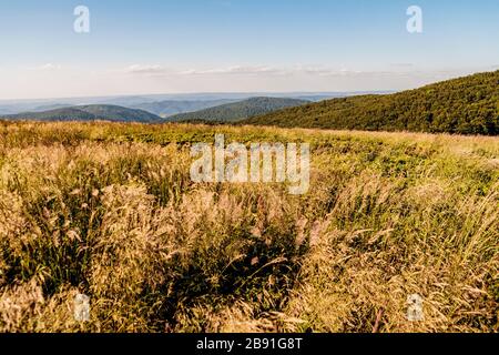 La strada dal Passo Mieczysław Orłowicz a Smerek nei Monti Bieszczady in Polonia Foto Stock