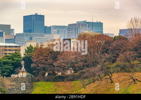 Parco e skyline sullo sfondo chiyoda distretto vista città, tokyo, giappone Foto Stock